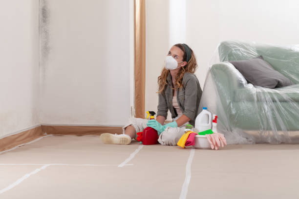 Reliable Mold Remediation contractor in Mount Ephraim, NJ by 24 Hour Mold Removal